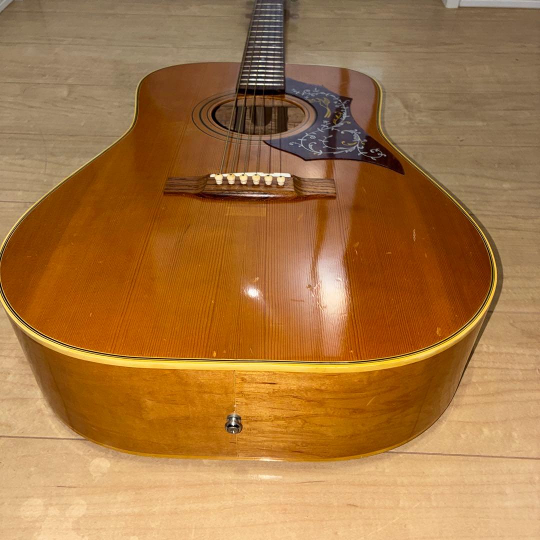 激レア ZENON roje 全音 アコースティックギター ハミングバードタイプ