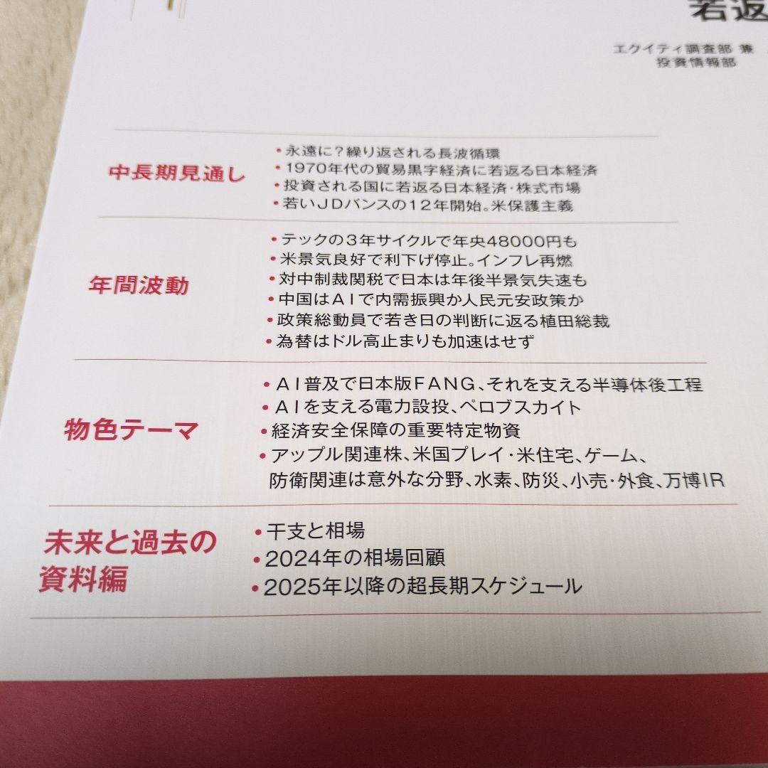 非売品】2025年 暦年展望資料(全163頁) 大和証券 株