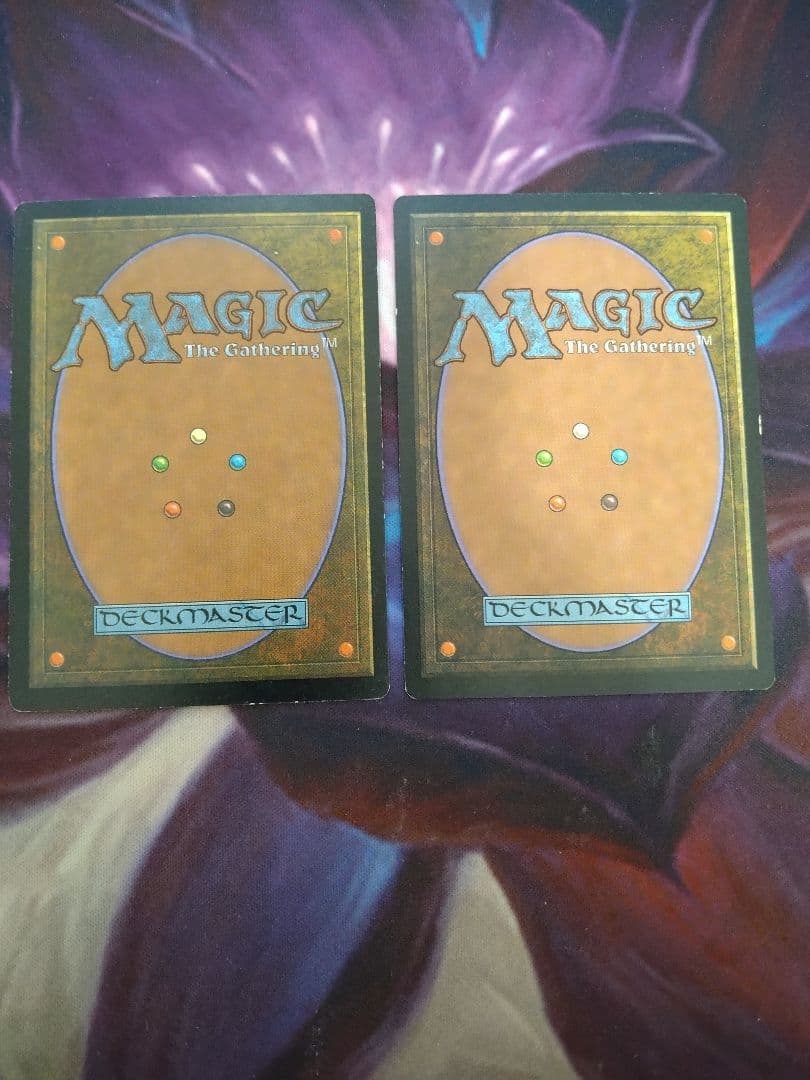 錯乱した隠遁者/Deranged Hermit　英語　2枚