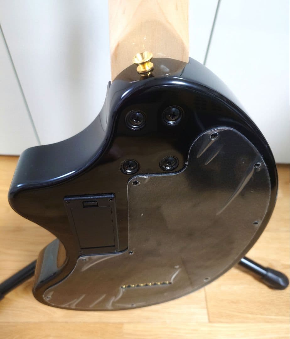 生誕特価】FERNANDES ZO-3 hide サイケ ハードケース付き