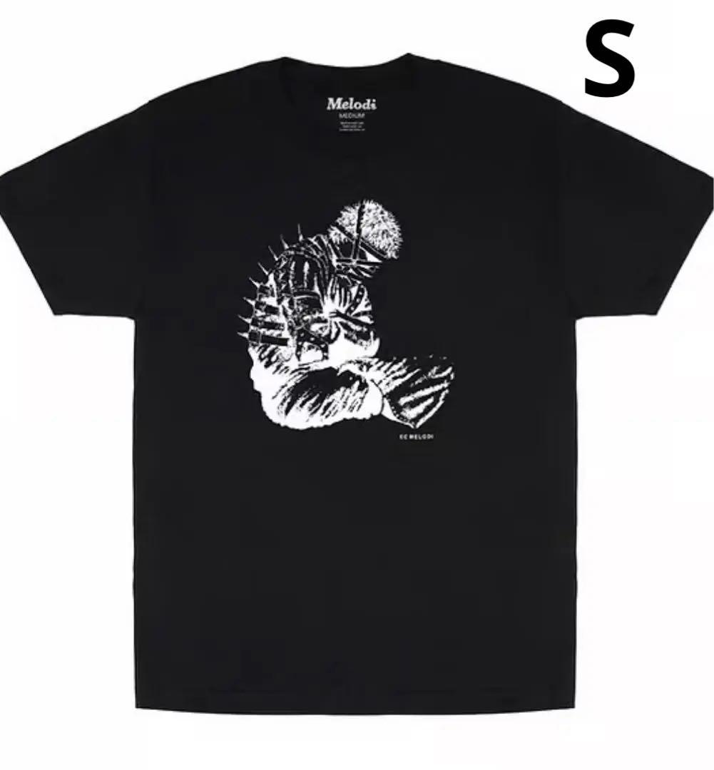 fuckthisindustry punkandyo ecmelodi fuckthisindustry punkandyo