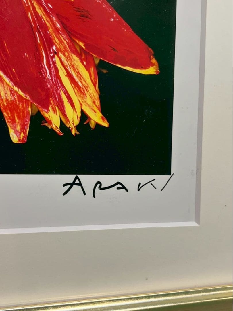 荒木経惟 写真作品 花 サイン入 額装 - yellows.co.jp 日本