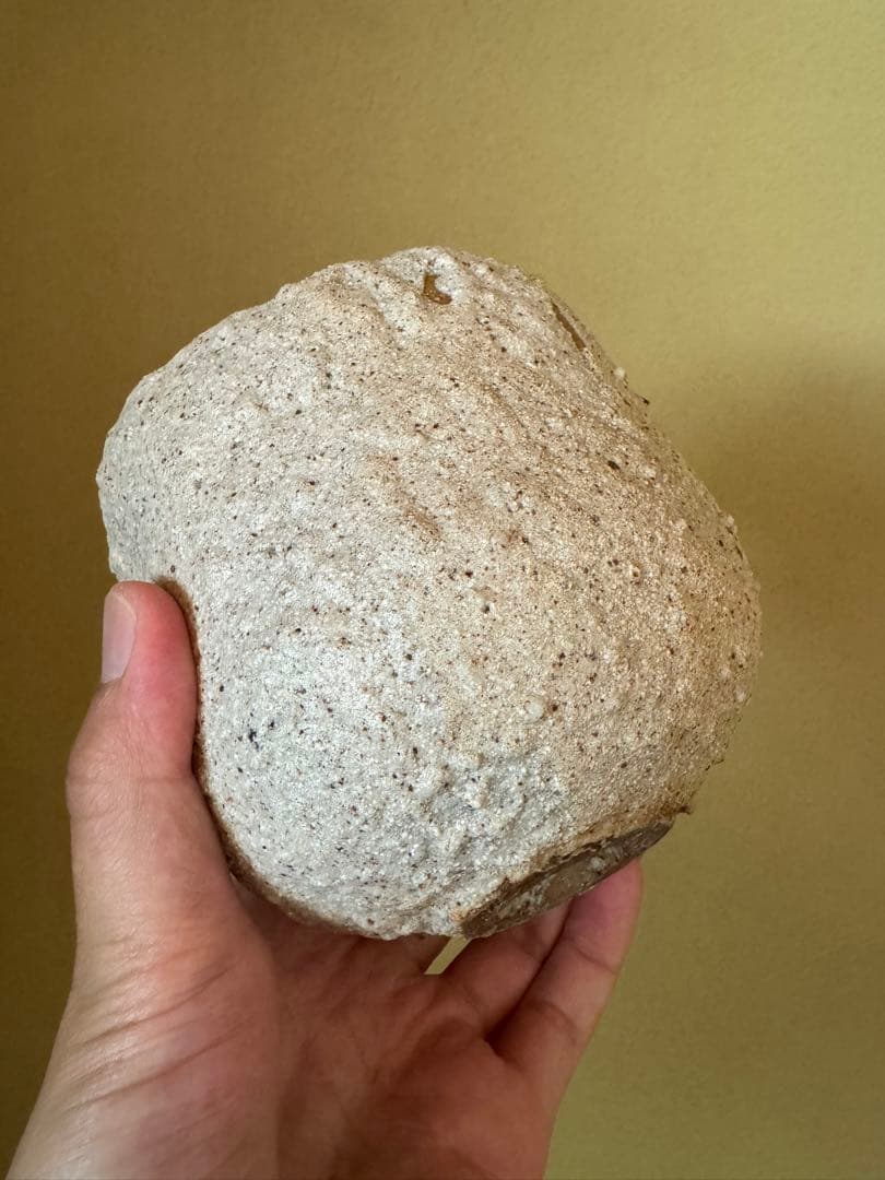 Simon Manoha 茶碗 フランス人作家