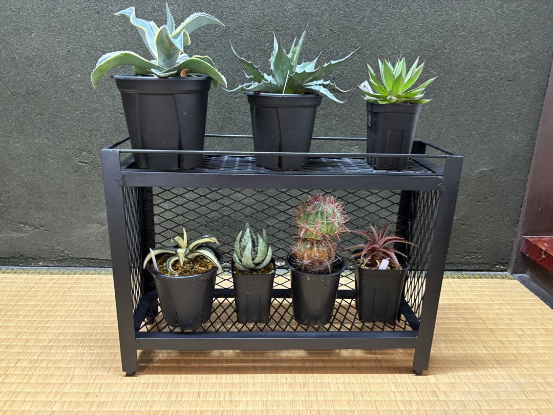 即納可能商品】インダストリアルなアイアンシェルフ2段 植物棚 家具