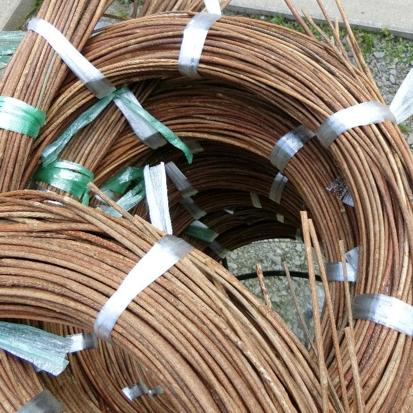 黄色いくまさん　青森岩木山採取　あけび蔓　150cm～ 15kg　2