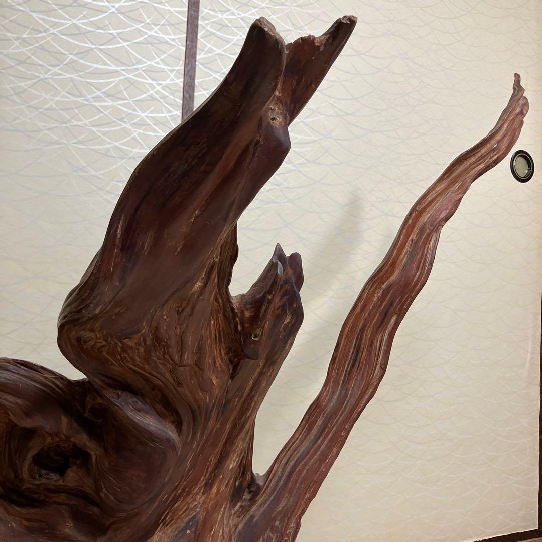 世界遺産 屋久島 屋久杉 有名アーティスト作 オブジェ