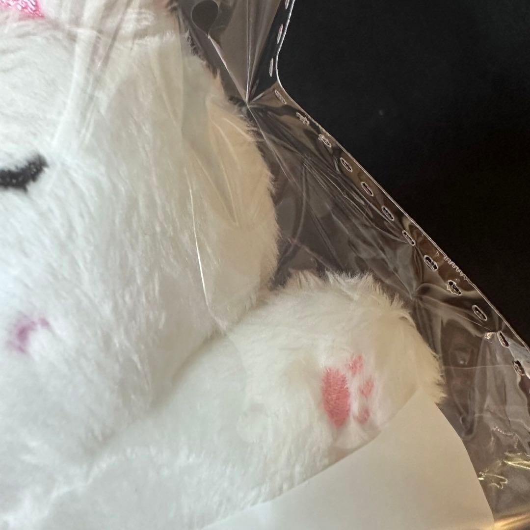 ジョンウォン ぬいぐるみ 10cm 7cmヤンコミ ENHYPEN 巾着 ドール