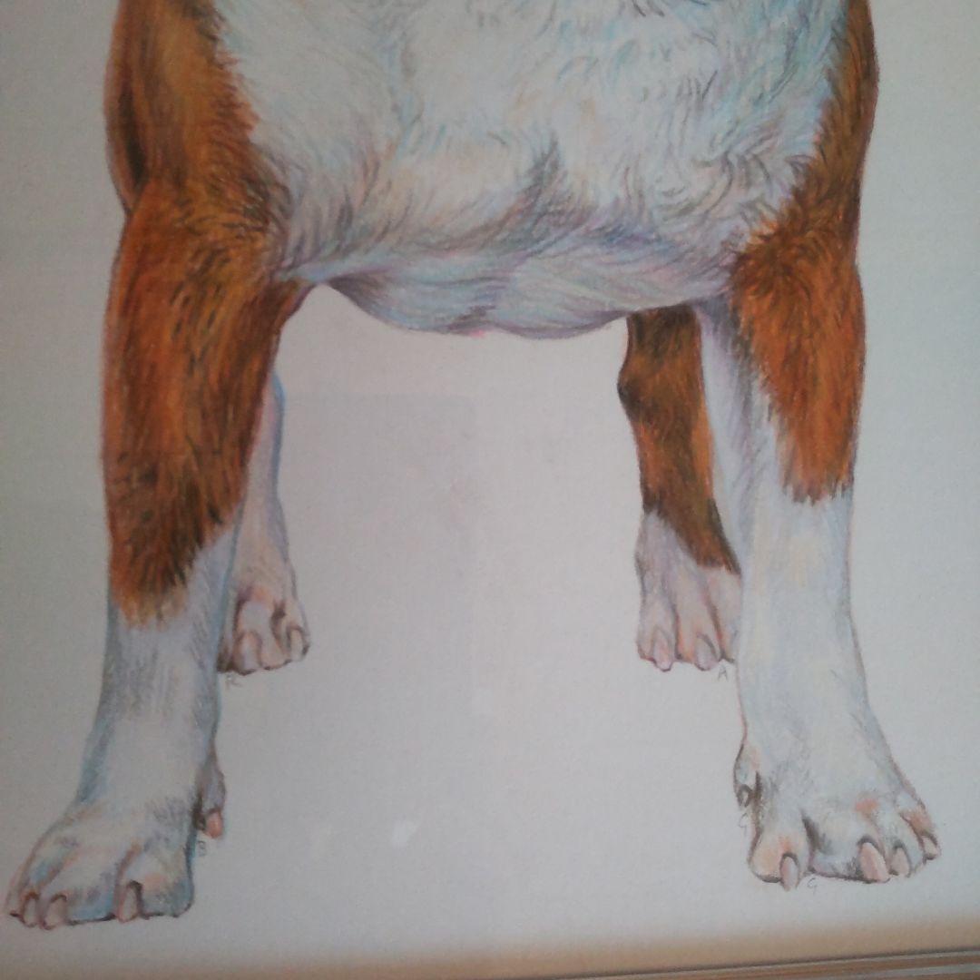 チャールズ・リン・ブラッグ　犬　色鉛筆画　5号