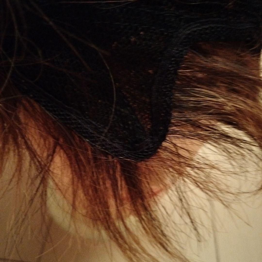 ブラウン ショートウィッグ レイヤーカット