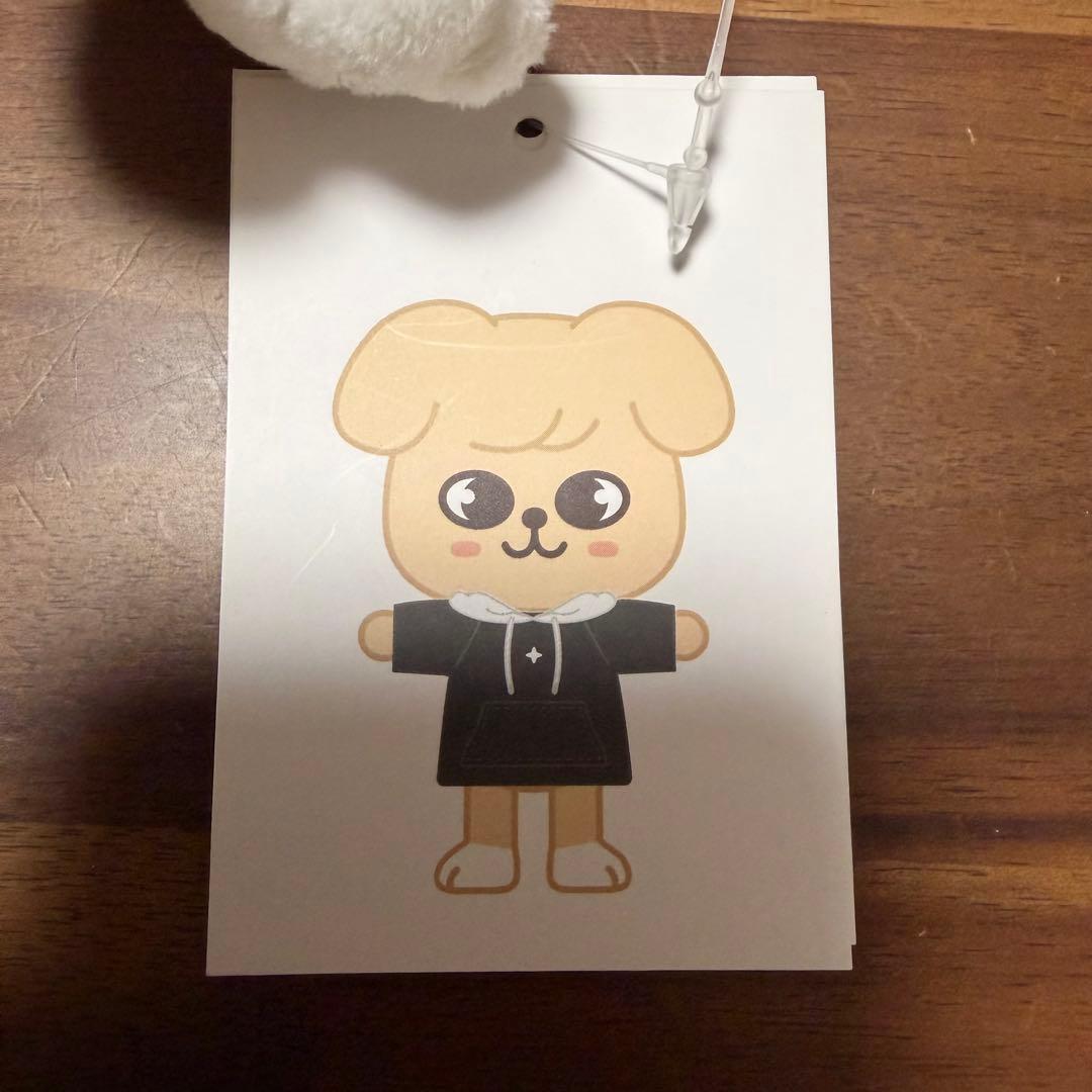 ⭐︎セール中⭐︎ StrayKids スンミン　パピーム　グッズまとめ売り