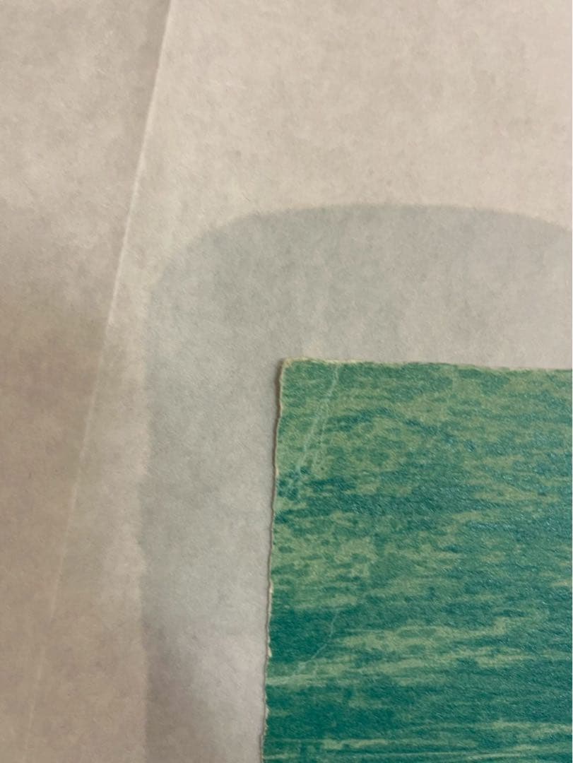 辰野登恵子《Feb-2-99》1999年 シルクシート直筆サイン•エディション