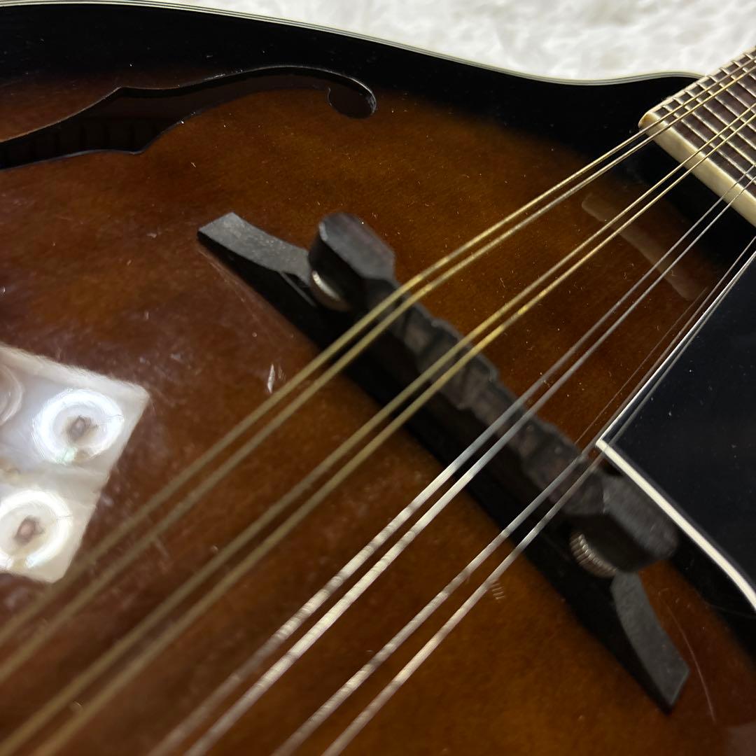 ibanez アイバニーズ マンドリン M510DVS 海外インポート ケース付