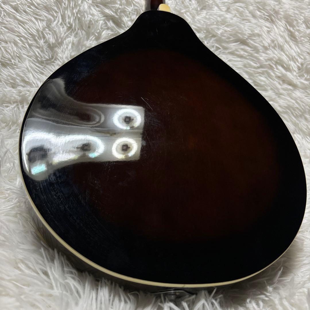 ibanez アイバニーズ マンドリン M510DVS 海外インポート ケース付