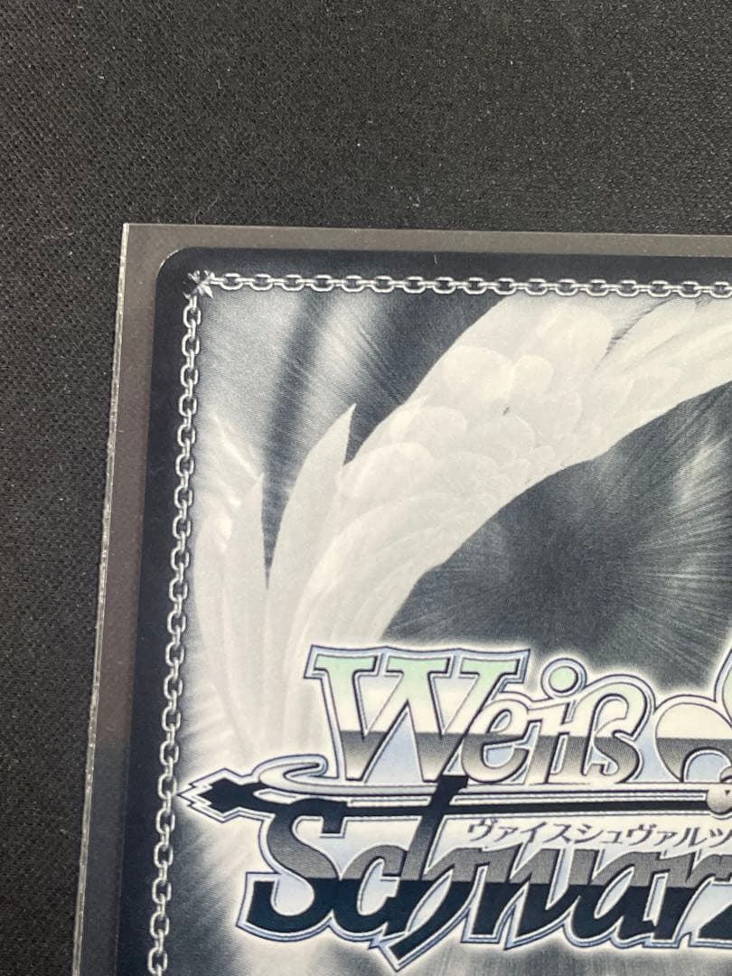 ヴァイスシュヴァルツMyGO!!!!! × Ave MujicaモーティスSSP