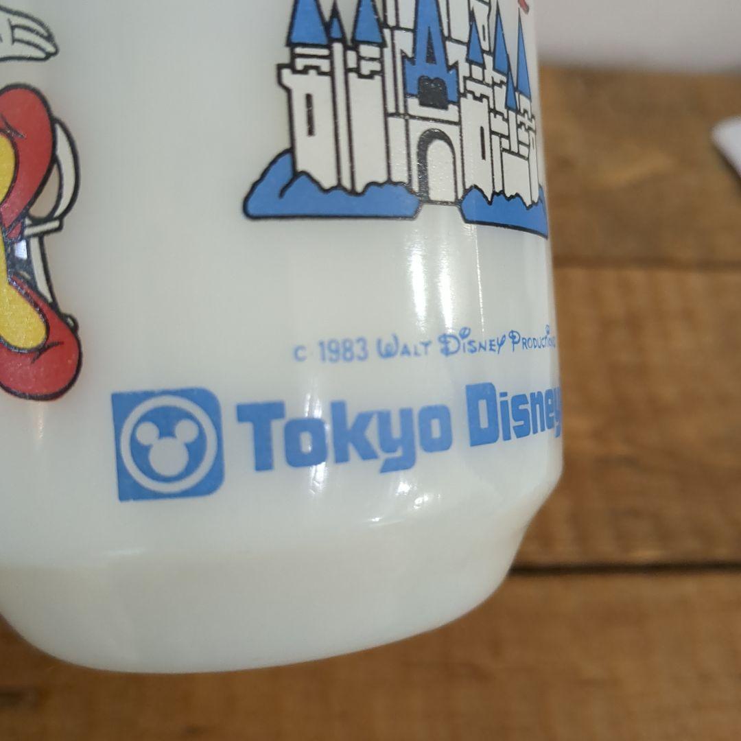 ファイヤーキング　ディズニー　ペア