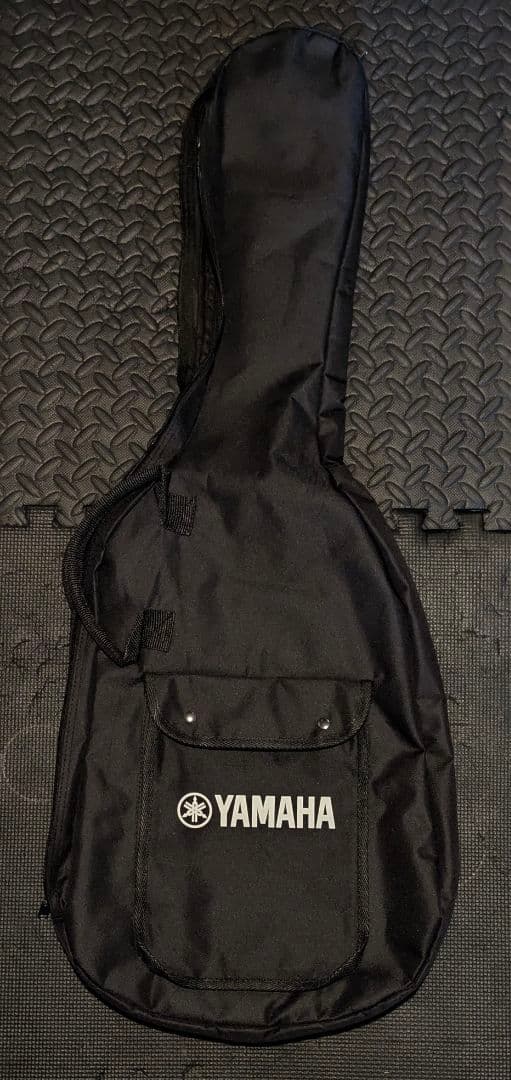 ギター #Squier Affinity #Stratocaster