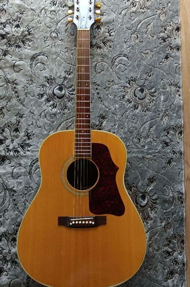 ラウンドショルダーJ-50モデル Pearl パールTF-145 ヴィンテージ