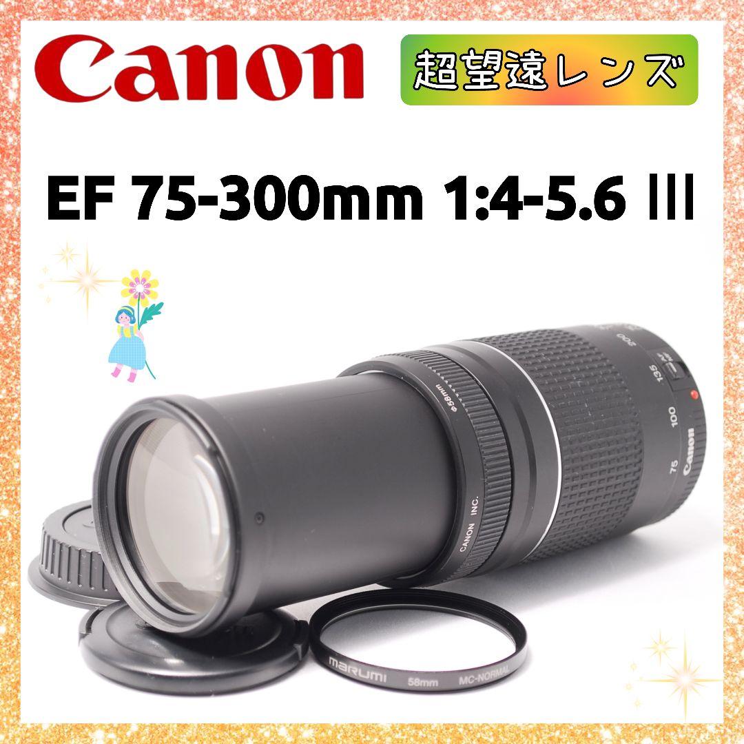 キャノン Canon EF 75-300mm 望遠レンズ 遠くの春も、すぐそばに