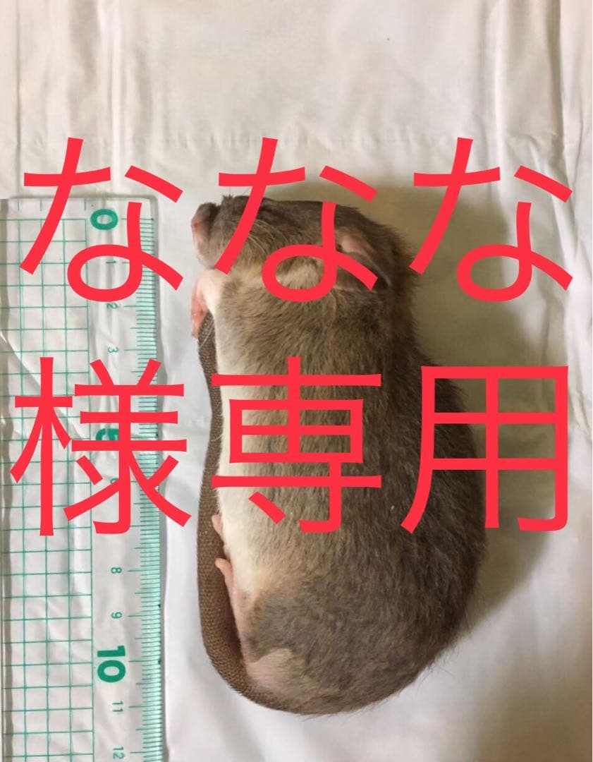 冷凍ADL52 ADM10 F10 H10 PL10 3L5 5L2 LG 5231JA2002A, LT500P, GEN11042FR-08, ADQ72910911, ADQ729109012