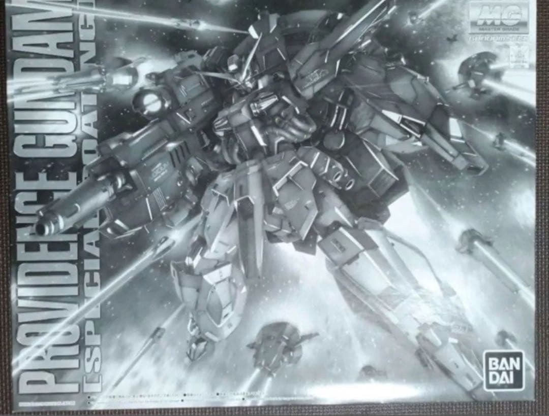 MG プロヴィデンスガンダム　スペシャルコーティング　段ボール発送 MG プロヴィデンスガンダム スペシャルコーティング MG プロヴィデンス