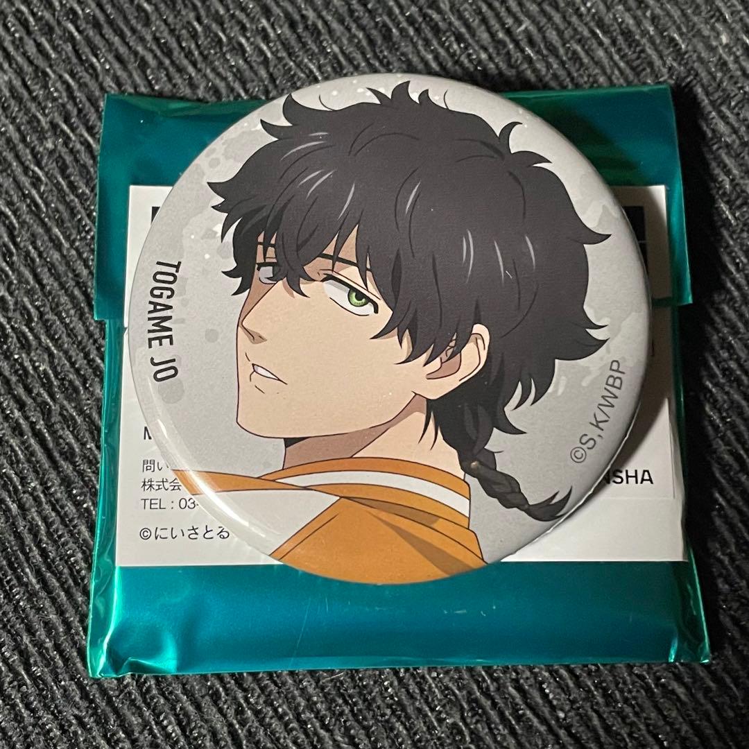 WIND BREAKER ウィンブレ ベースヤードトーキョー 缶バッジ 十亀条