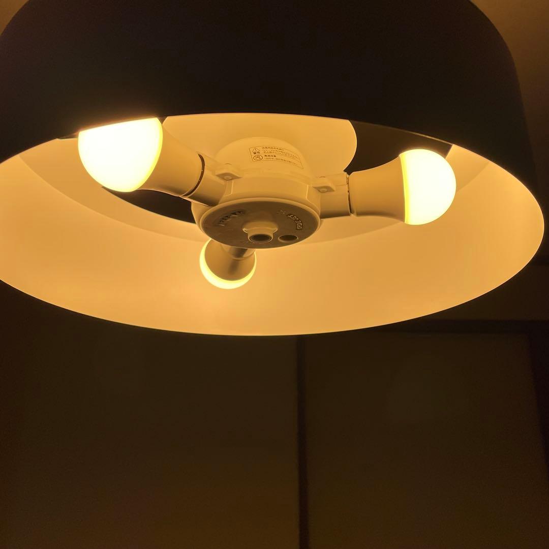 【美品】UNICO OLIKA LAMP 3BULB PENDANT