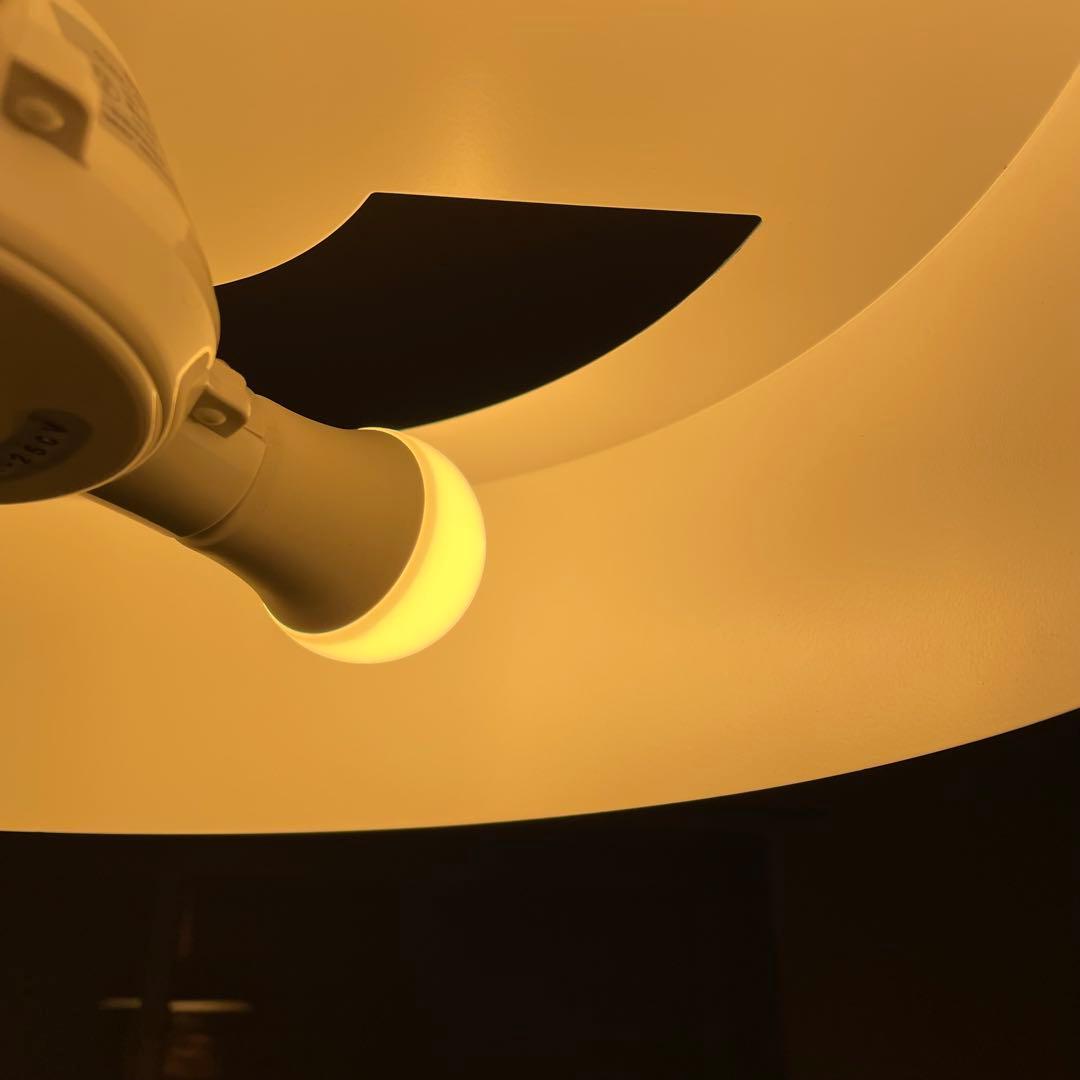 【美品】UNICO OLIKA LAMP 3BULB PENDANT