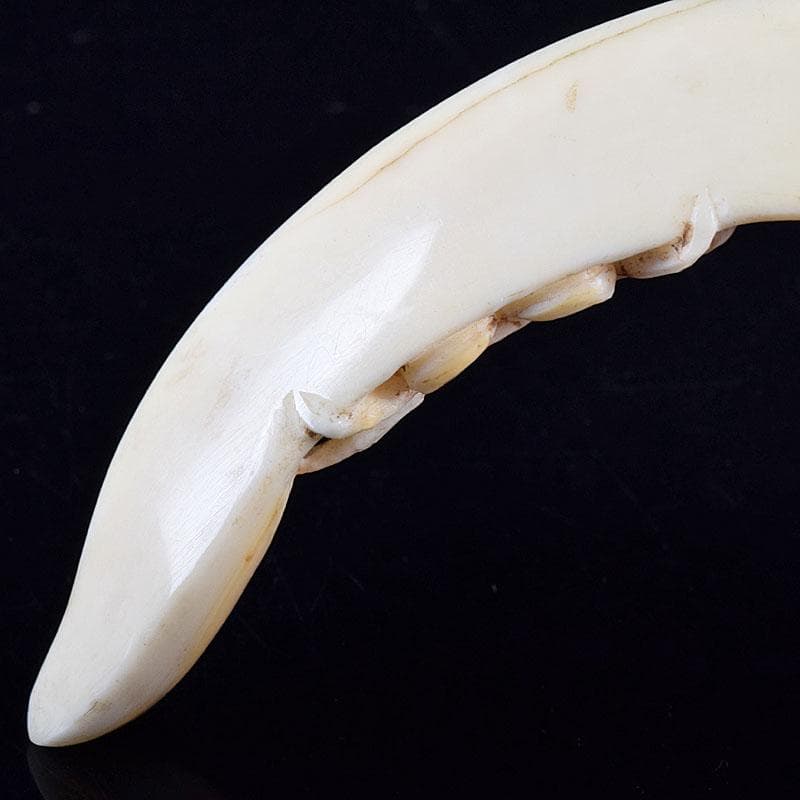 時代提げ物 獣骨 根付 石見根付 蟹文根付 M 8659