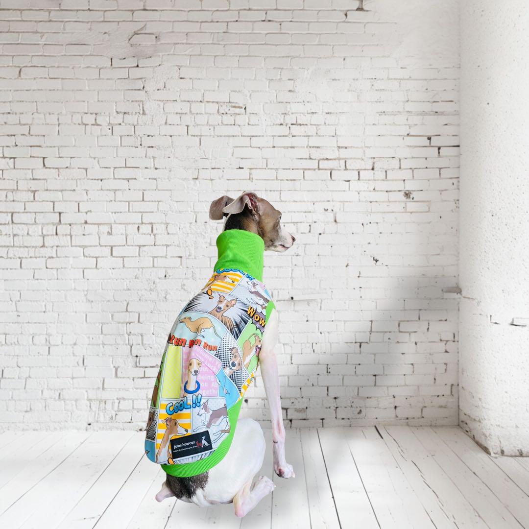 ⑮ミニピン、ミニピンを纏う イタグレ、イタグレを纏う