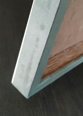 一点物】レントゲン魚拓舌平目