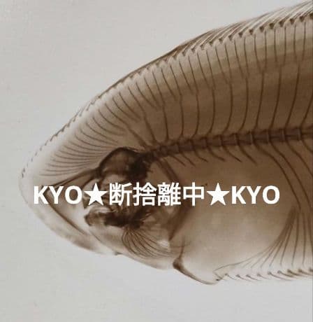 一点物】レントゲン魚拓舌平目