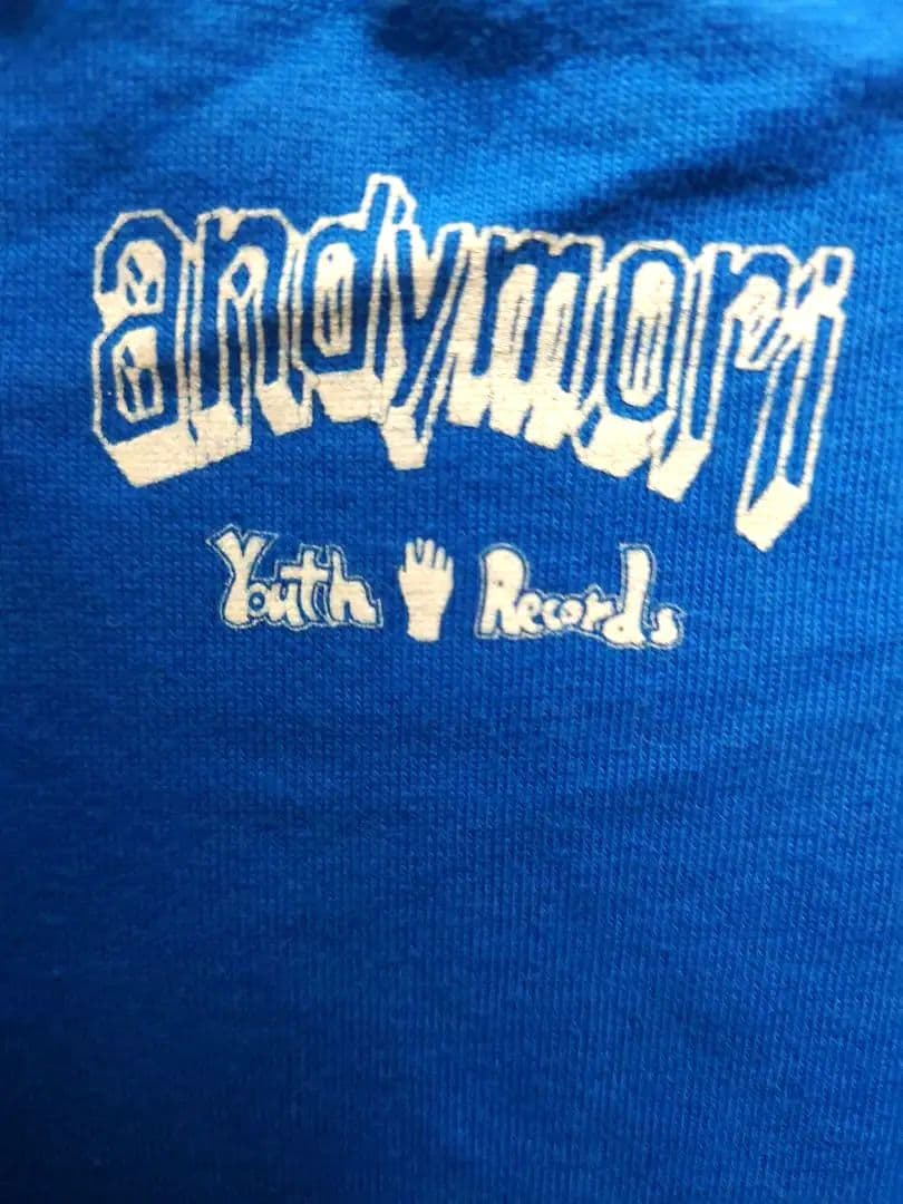 andymori　アンディモリ　ラストライブ　Tシャツ