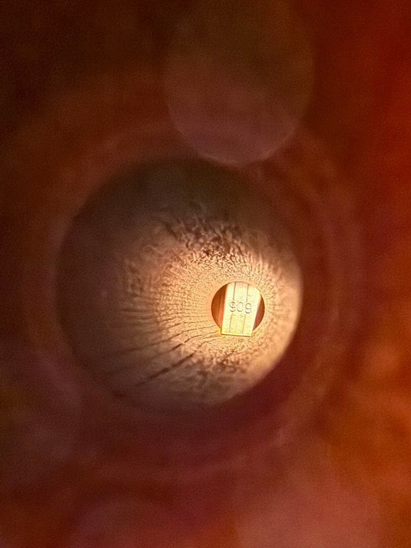 ZEN-ON ゼンオン リコーダー 2500b？　 Z-RECORDER