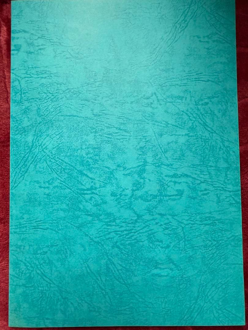 【非売品】銀魂 声優直筆サイン入り台本