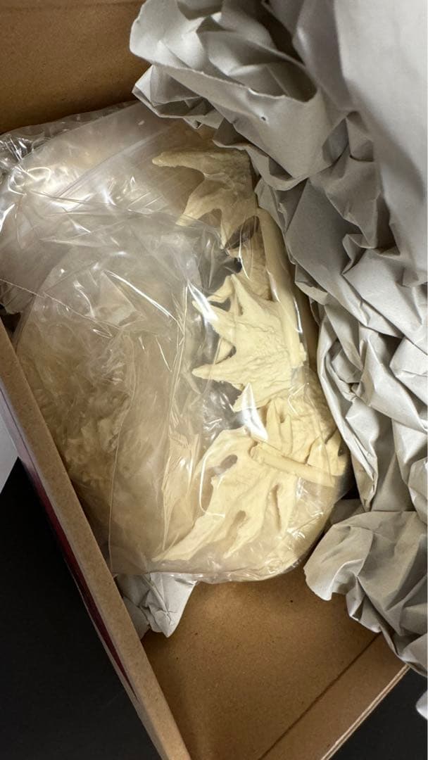 ゴジラ 2000 -BUST-タナカ・STUDIO レジンキット　WFワンフェス