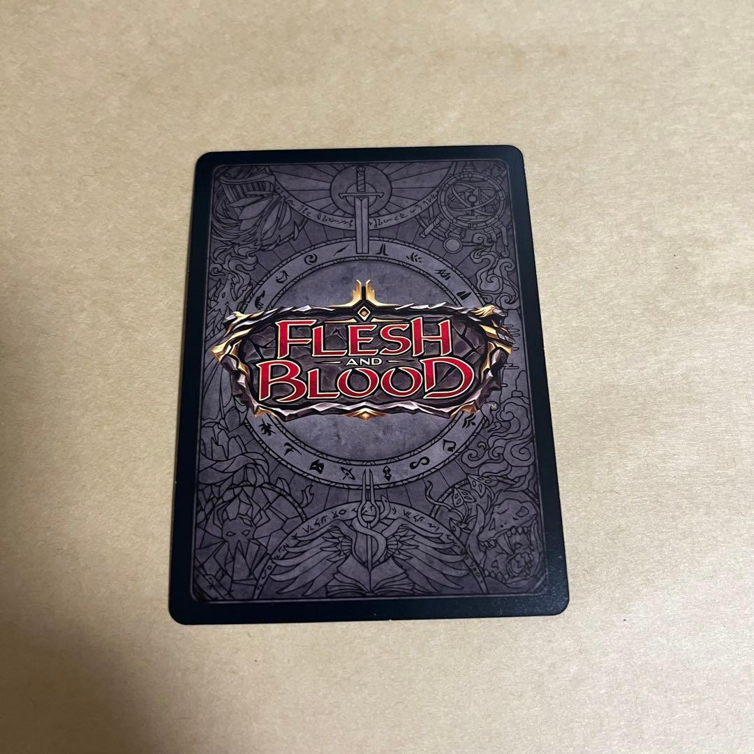 FaB Fyendal's Spring Tunic RF 英語 WTR