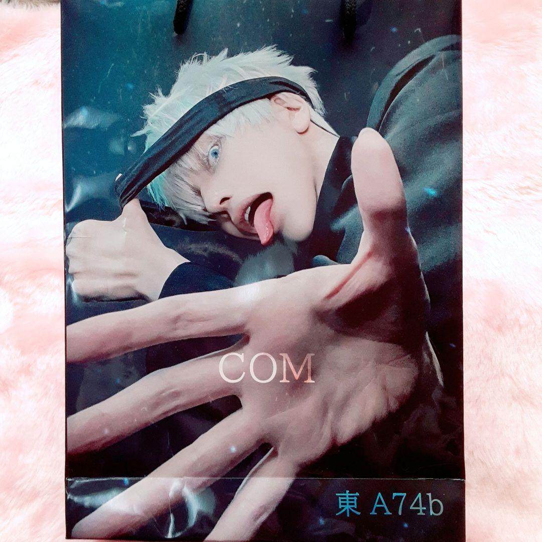 ウィル　コスプレイヤー　コスプレ写真集、チェキ等グッズセット