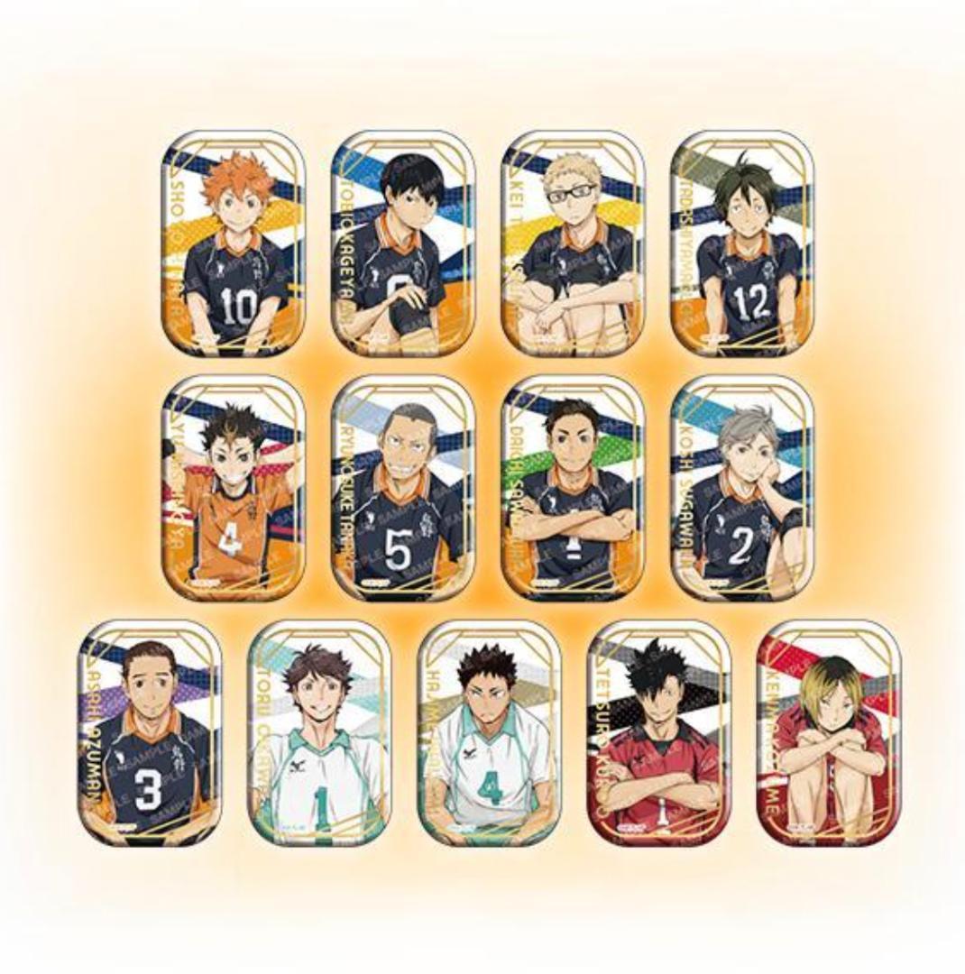 ハイキュー!! おすわりとクールダウンまとめ売り