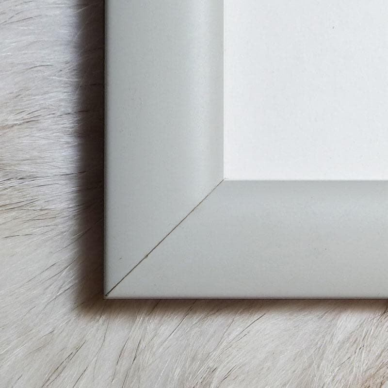 額装品/プールヴィルの断崖の上の散歩/クロードモネ/ポスター/アート/インテリア