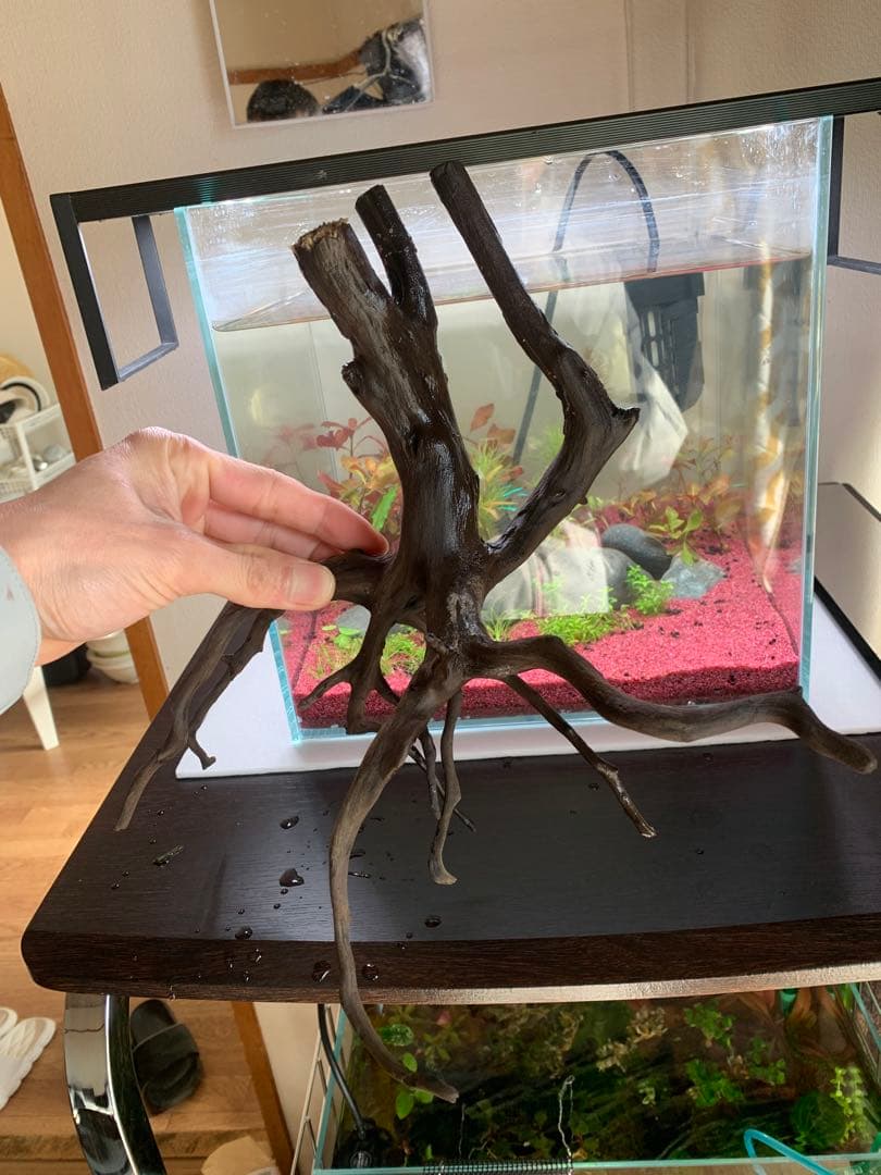 流木と超透明ガラス水槽（30×30cm）セット - メルカリ