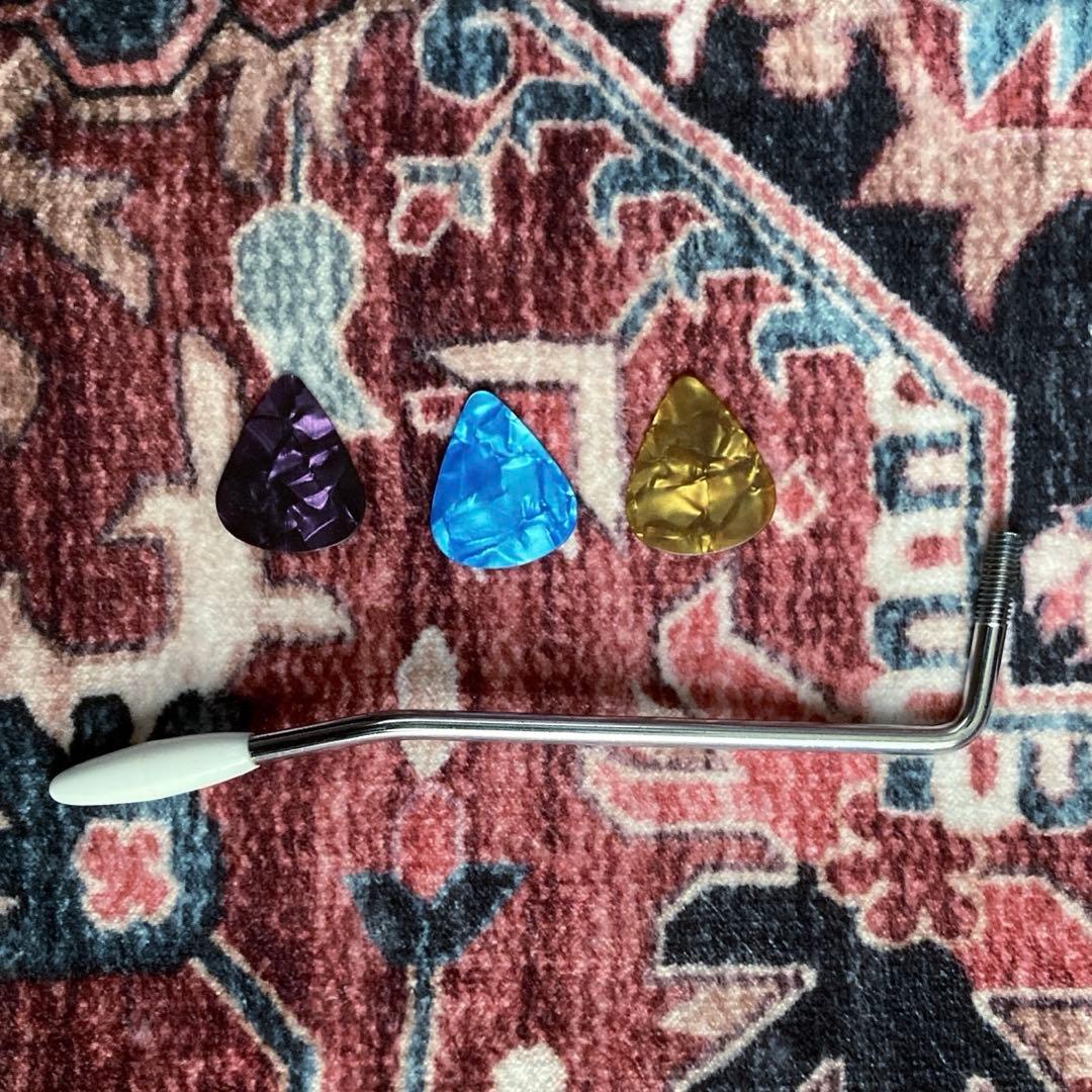 Fernandes エレキギター 純正ギグバッグ付き