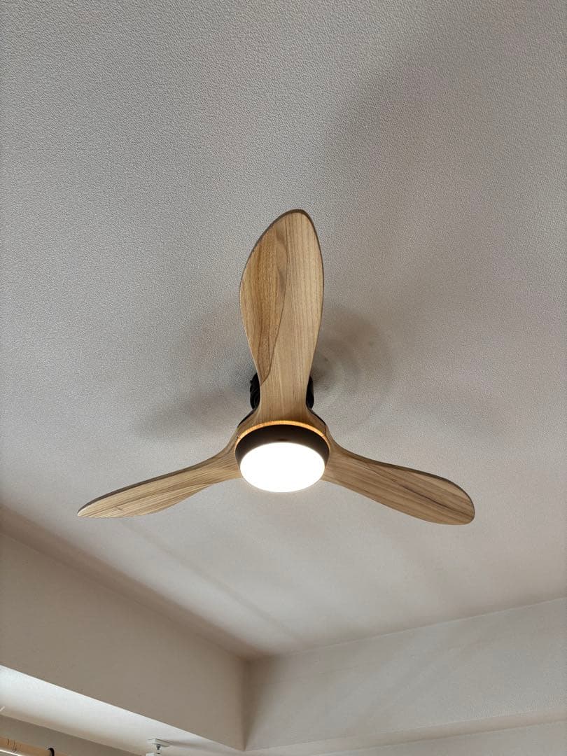 LOWYA New Jabalia 2 天井ファン