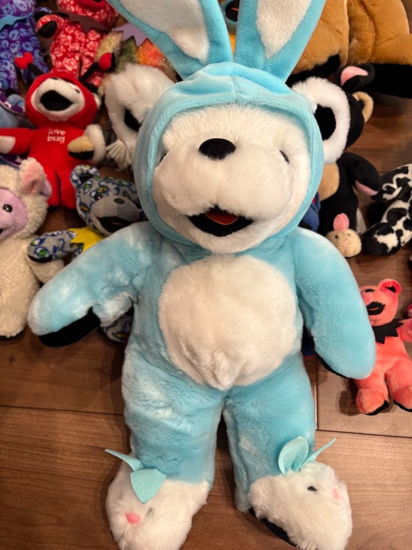 グレイトフルデッドベア　ビーンズ　全25体セット　ネームタグなし