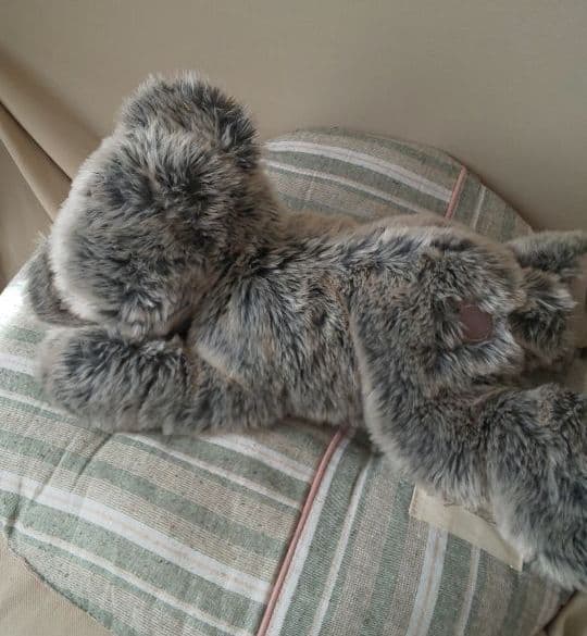 レア☆WDW ディズニー ベア 寝転び ごろ寝 ダッフィー