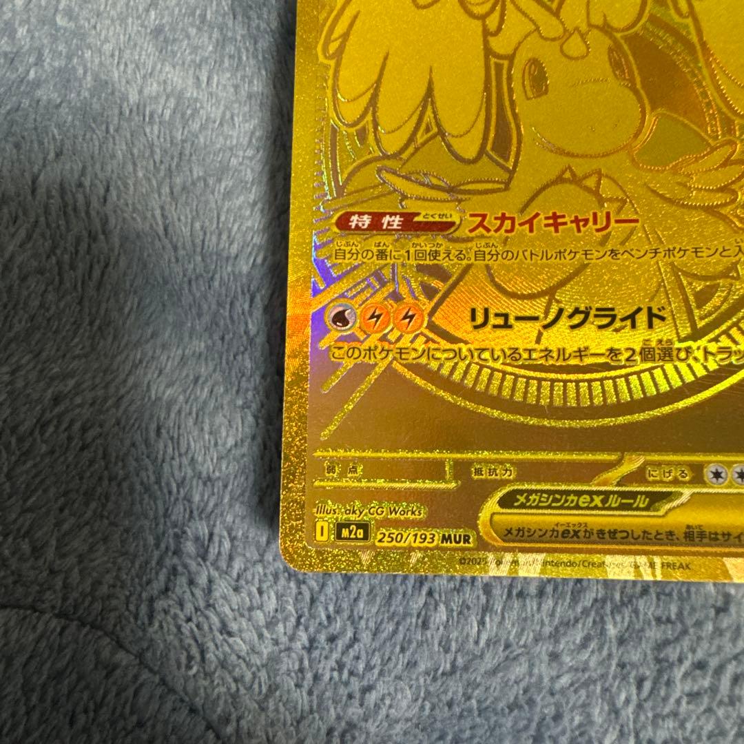 メガカイリュー ex mur ②