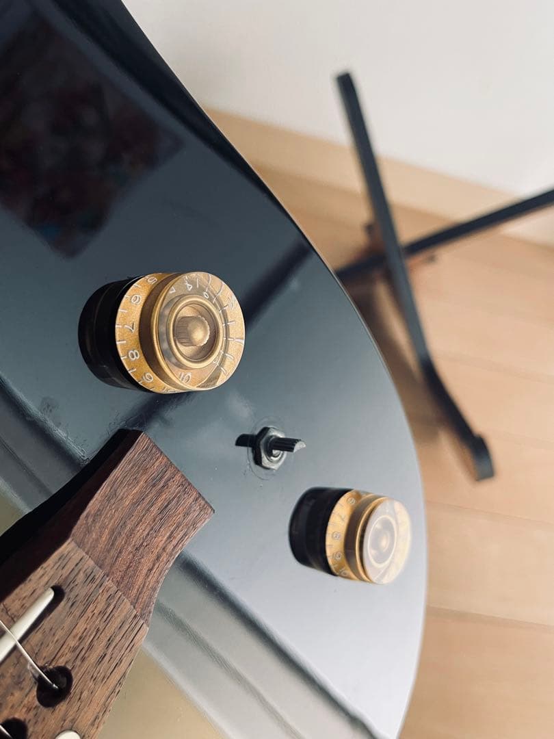 Fender telecasterなのか⁉︎ 謎の妙に格好が良いミステリアスギター