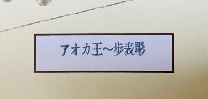【新品未使用】山上作　桐箱入り　将棋駒　アオカ王〜歩表彫