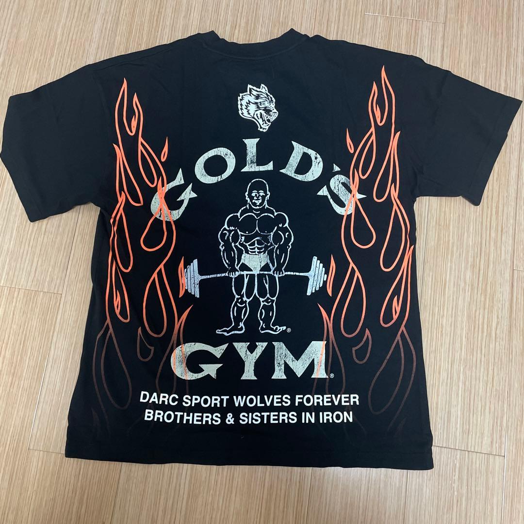 GOLD'S GYM ダルクスポーツコラボ Tシャツ Mサイズ