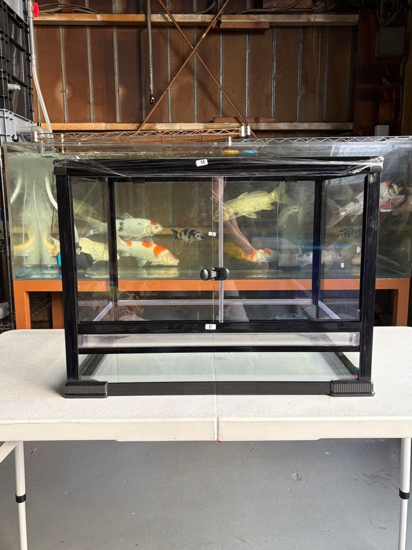 問屋ケージ爬虫類60x45x45cm両生類飼育組み立て式ガラス飼育ケージ送料込み 問屋ケージ爬虫類60x45x45cm両生類飼育組み立て式ガラス飼育ケージ送料