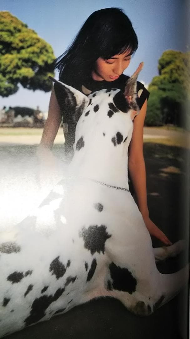 岡村孝子 コンサートパンフレット SOLEIL 1988年夏